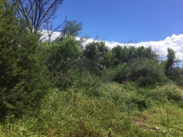 0 Bedroom Property for Sale in Leeu Gamka Western Cape